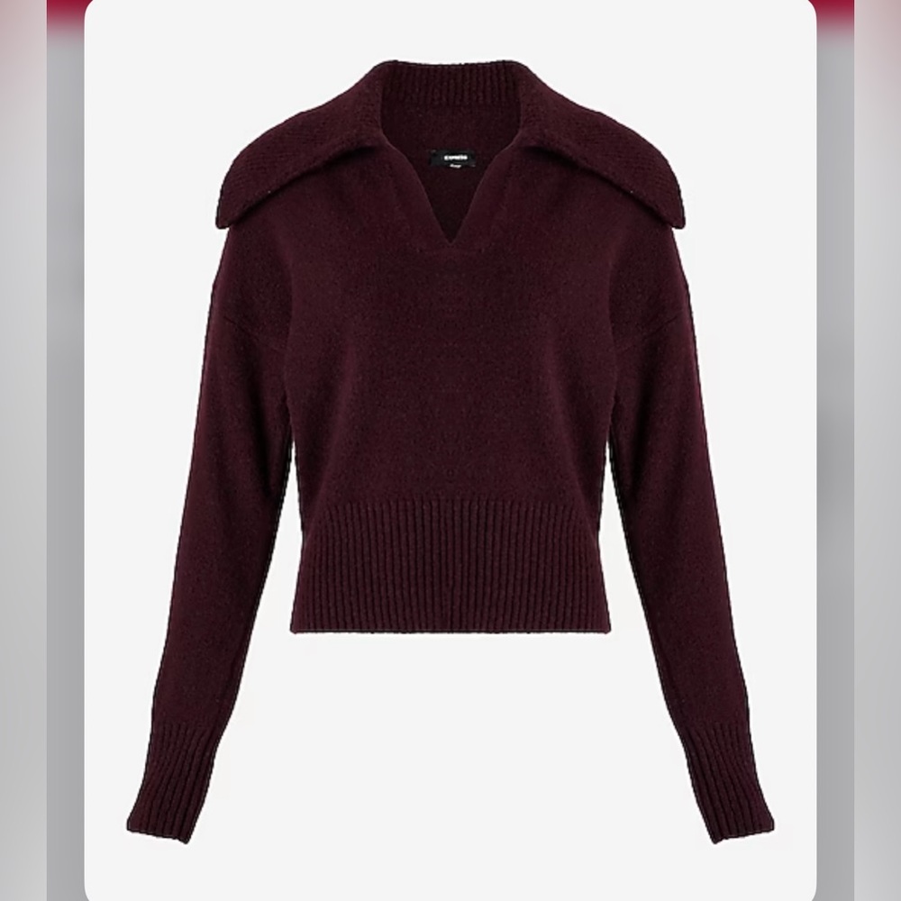 Express v-neck long sleeve polo sweater